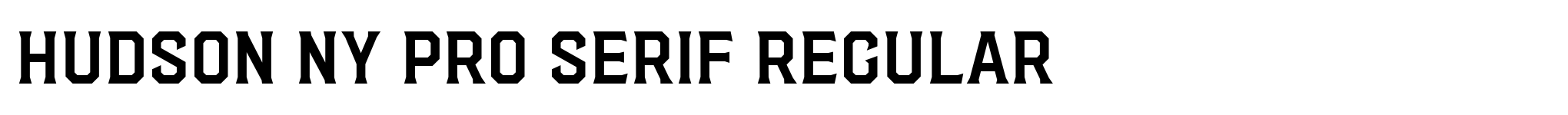 Hudson NY Pro Serif Regular image